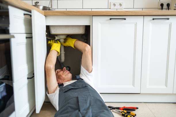 Best Clogged Drain Plumber  in Fruit Hill, OH